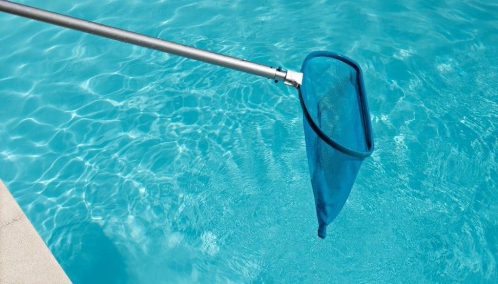 Get rid the Swimming Pool Bugs with Pool Skimmer