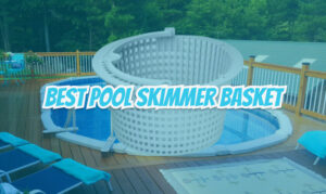 Best Pool Skimmer Basket