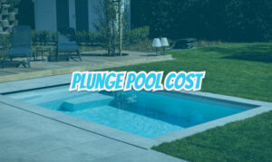Pool Plunge Cost