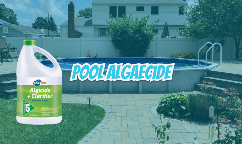 pool algaecide
